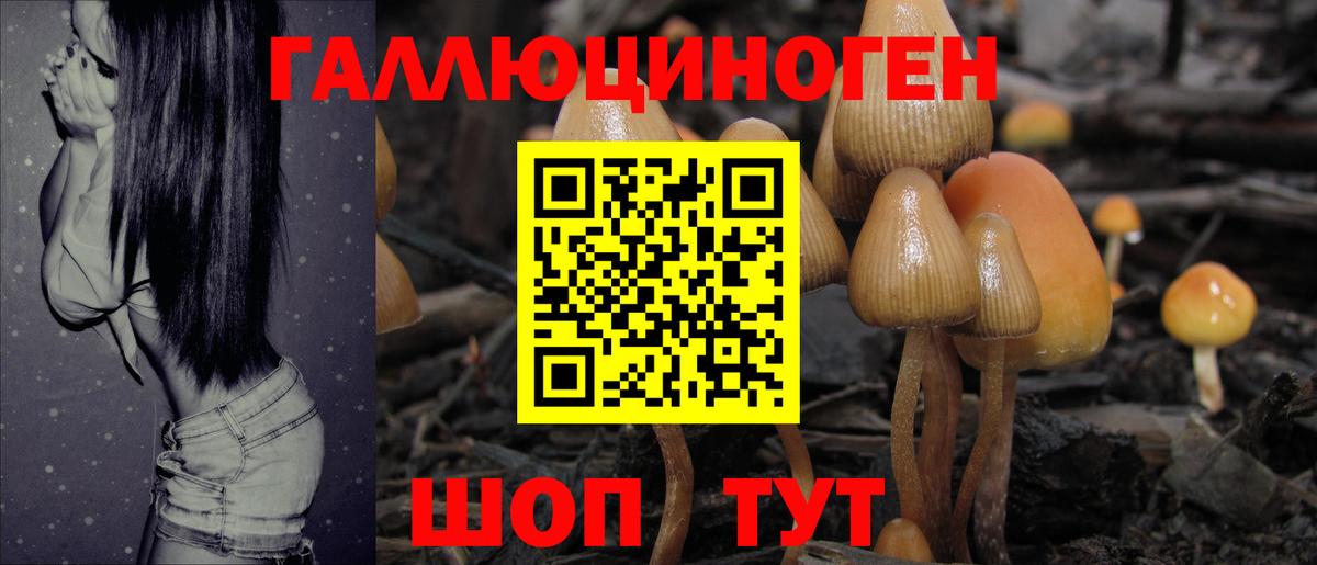 Еманжелинск  Галлюциногенные грибы мухоморы  Вход с VPN 